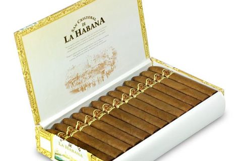 圣克里斯托 蓬塔城堡